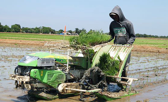 Optimalisasi Alsintan, Penyuluh Pertanian Latih Petani Muda Belitung Timur